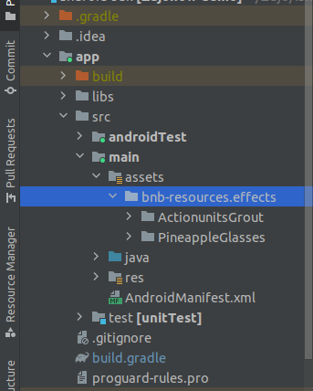 Banuba SDK effects folder